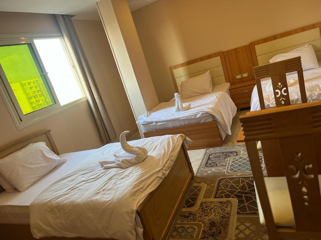 Grand Pyramids View Hotel Kair Zewnętrze zdjęcie